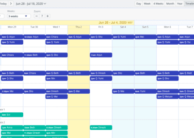 Timeline View Multiweek