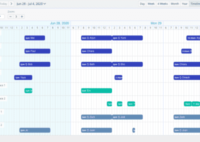 Timeline View Week