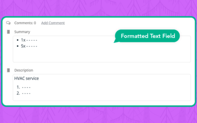 Better Information Organization with Formatted Text Custom Fields