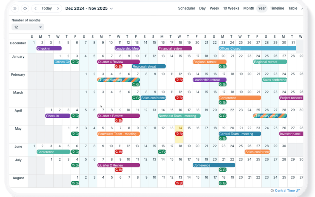 Organizational Annual Planning with Teamup