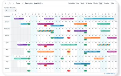 Organizational Annual Planning with Teamup