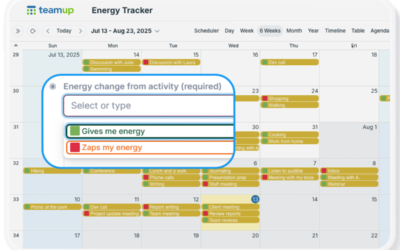 Track and Balance Energy with Teamup